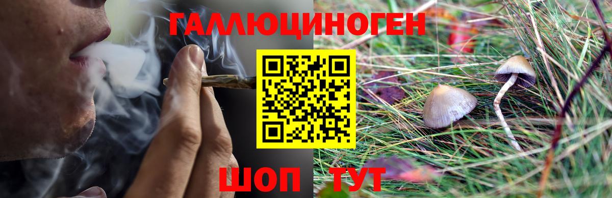 наркошоп  Псилоцибиновые грибы мухоморы  Псилоцибиновые грибы MAGIC MUSHROOMS  Вход с VPN  Вязьма 
